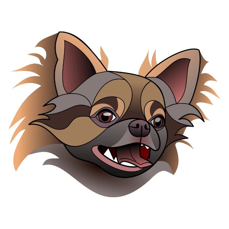 Chihuahua langhaarig