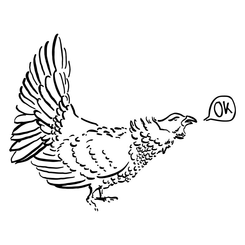 calm grouse
