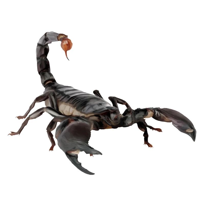 Skorpion