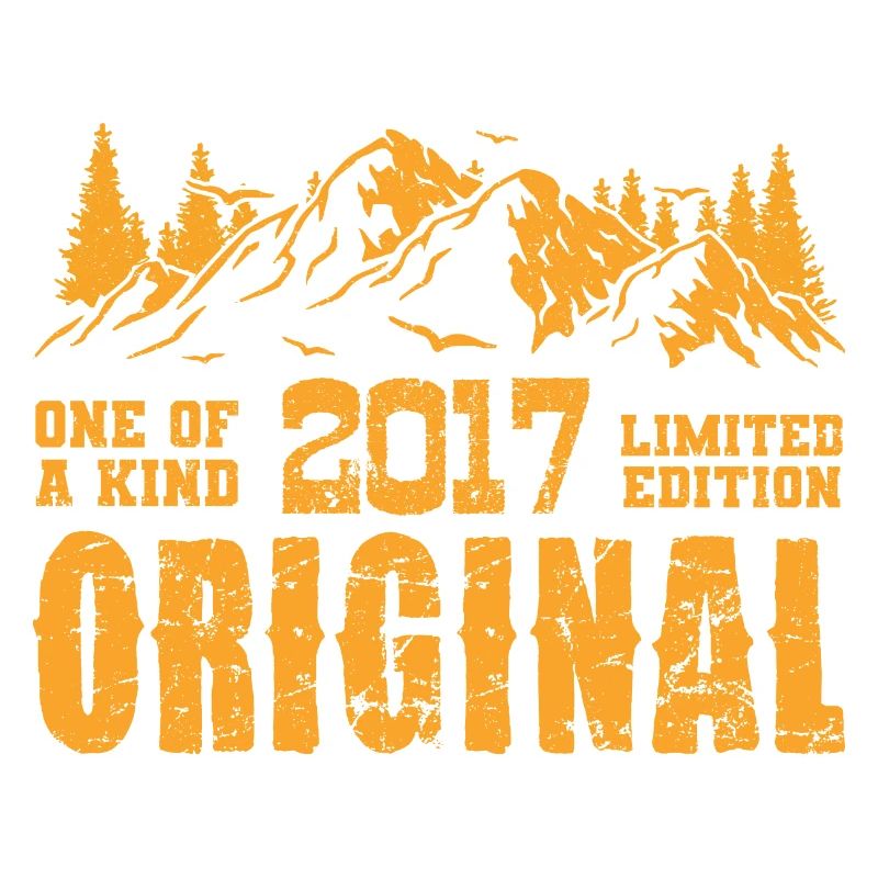Birthday gift 2017 - 2017