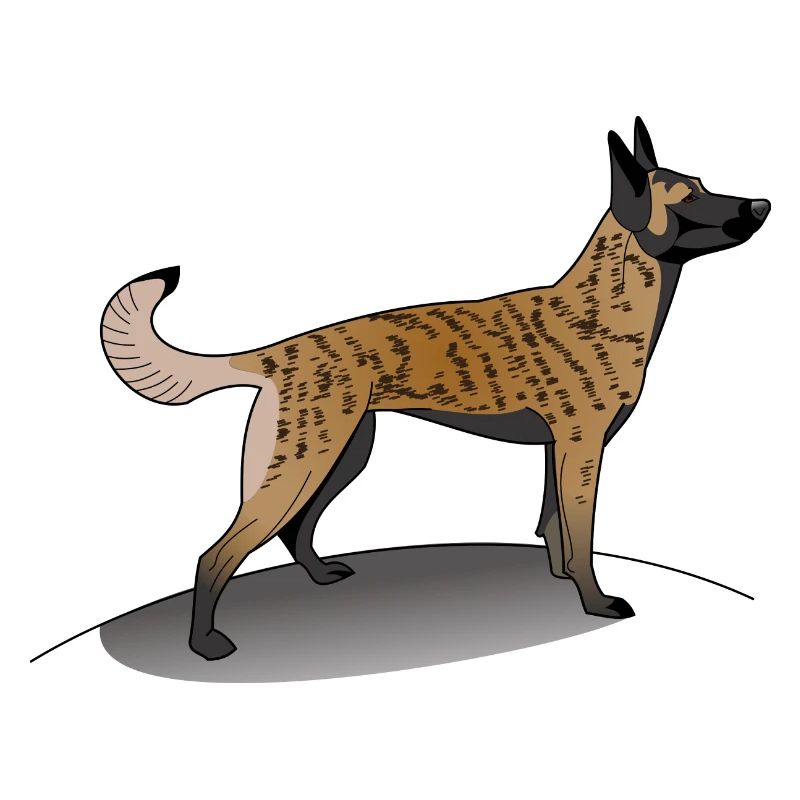 Gestromter holländischer Schäferhund