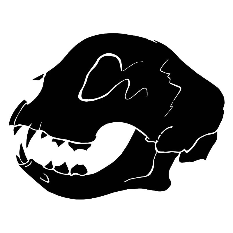 Cat Skull | Katzenschädel