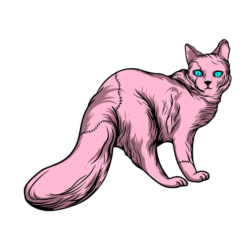 Lustige Katzen 7