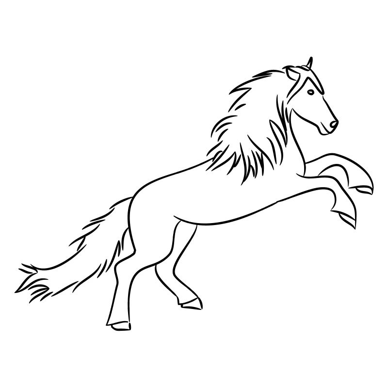 Pferd