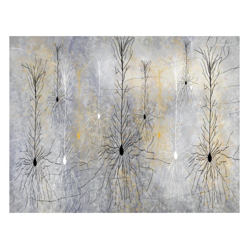 Neuronales Netzwerk