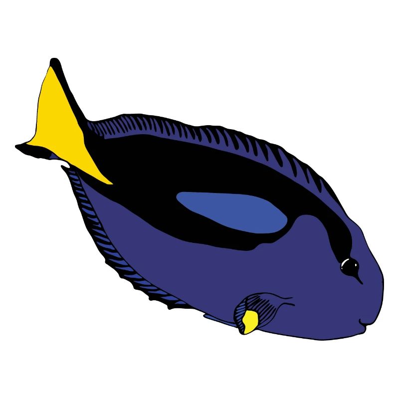 Doktorfisch