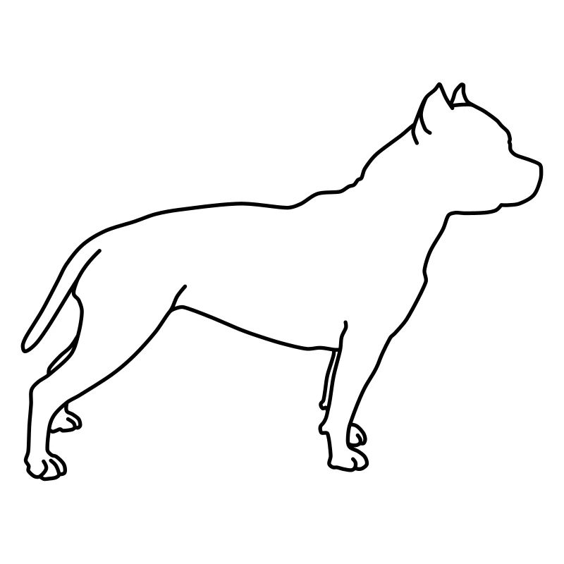 pitbull lineart 1