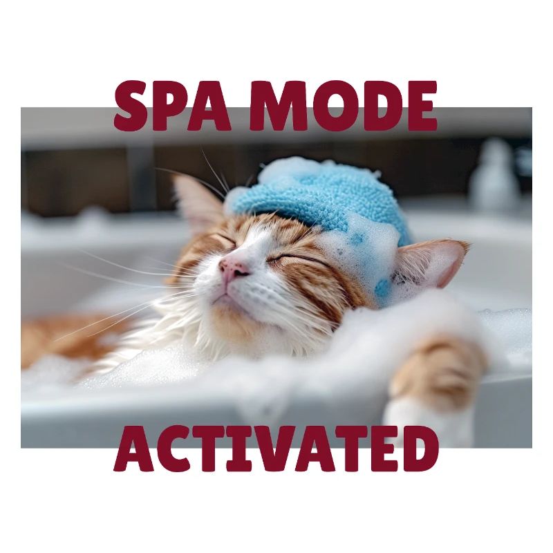 Spa-Modus Katze