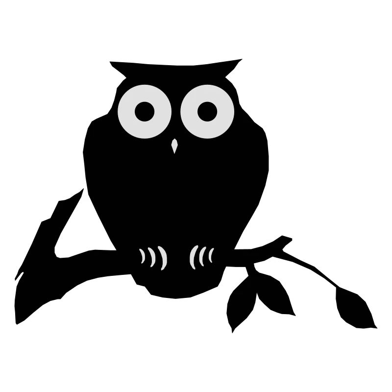 owl on branch