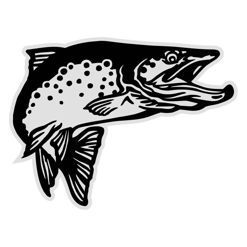 forelle2_2c_mit_kontur_2