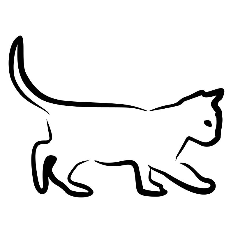 Katze, Kätzchen