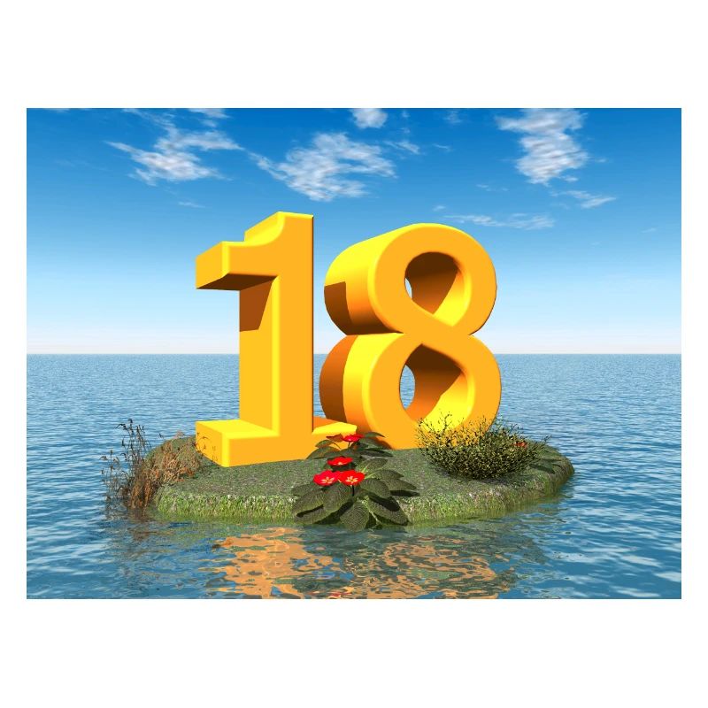 Year 18