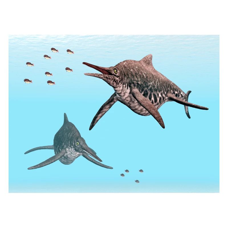 Ichthyosaurier Shonisaurus