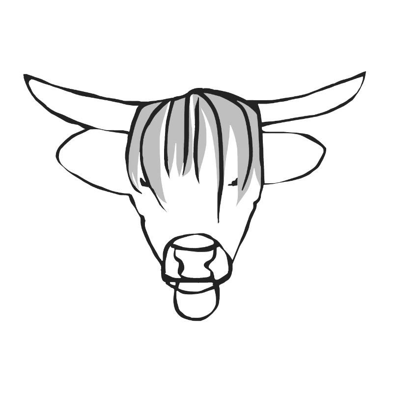 Stier