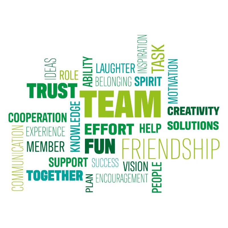 Team
