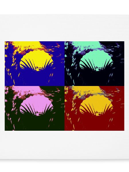 Shell
