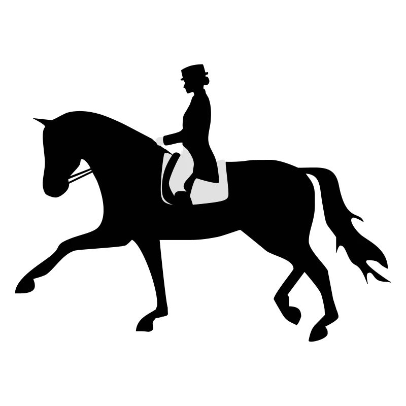 Dressurpferd