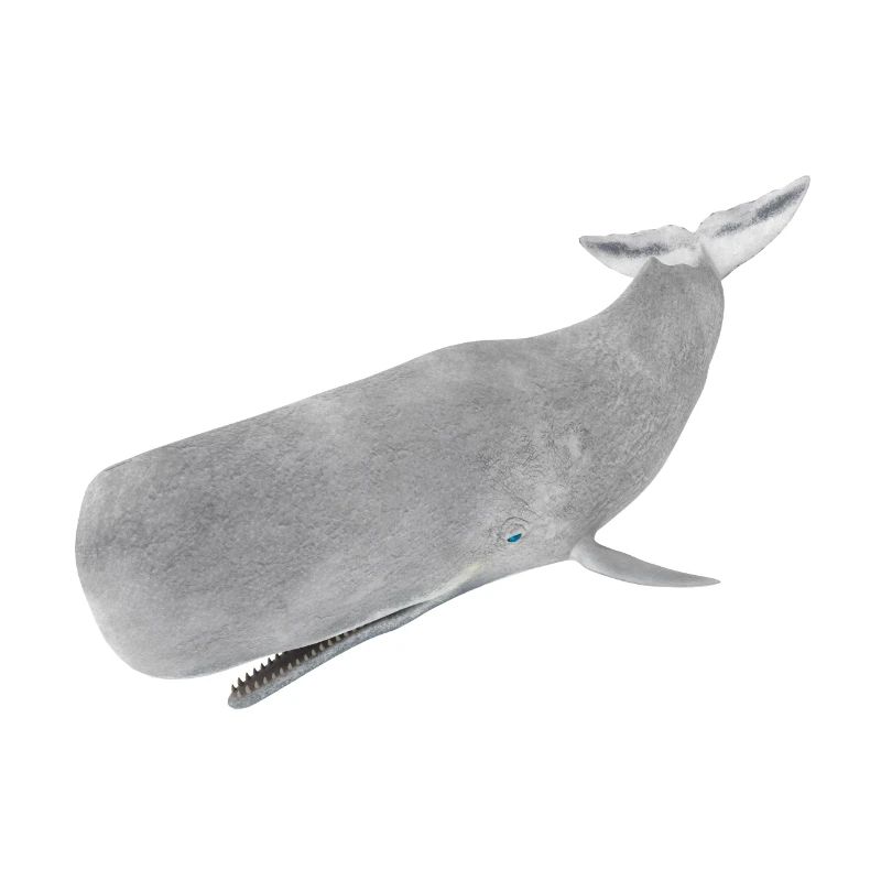 Pottwal, Wal, Walfisch