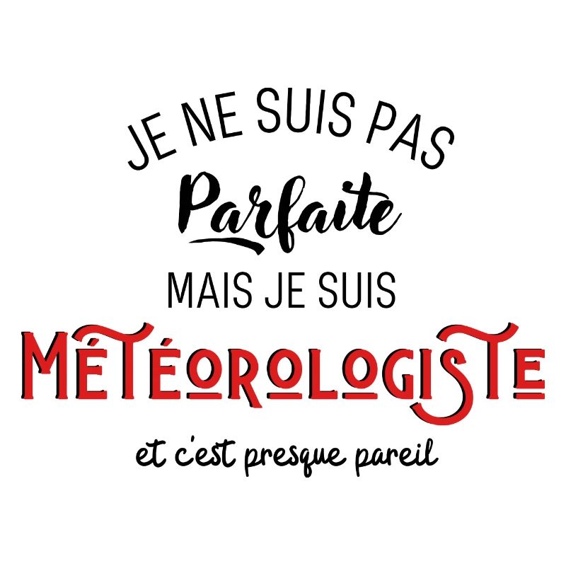 pas parfaite mais météorologiste idée cadeau