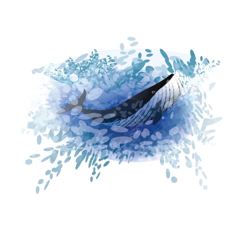 Whale VI PIX