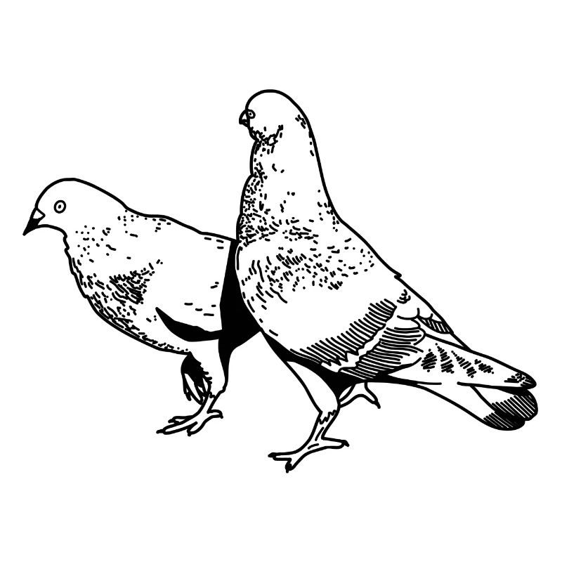 Taubenmotiv