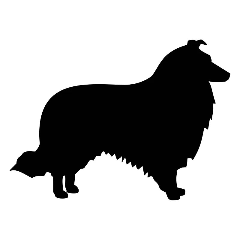Collie