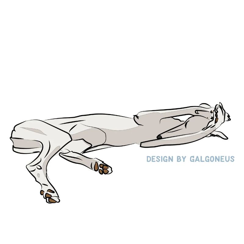 galgoneus design 6