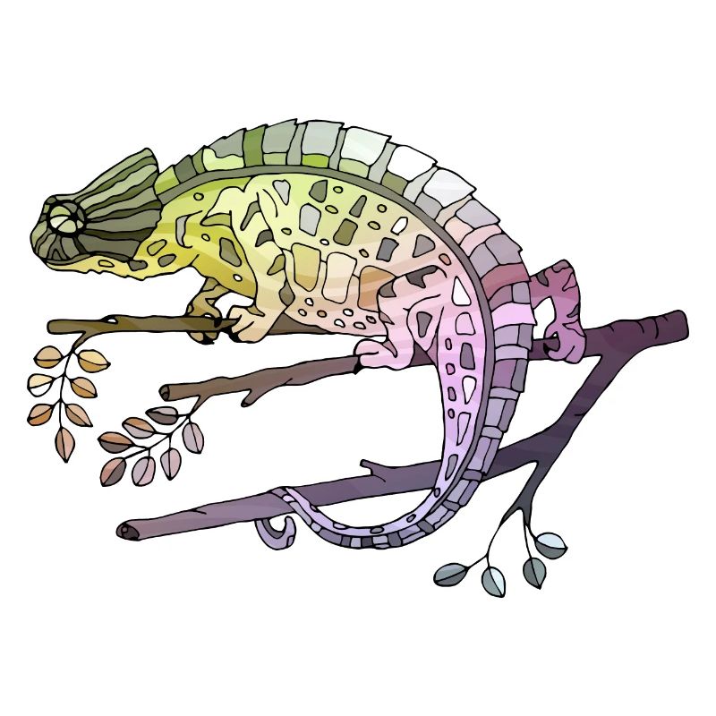 Chameleon