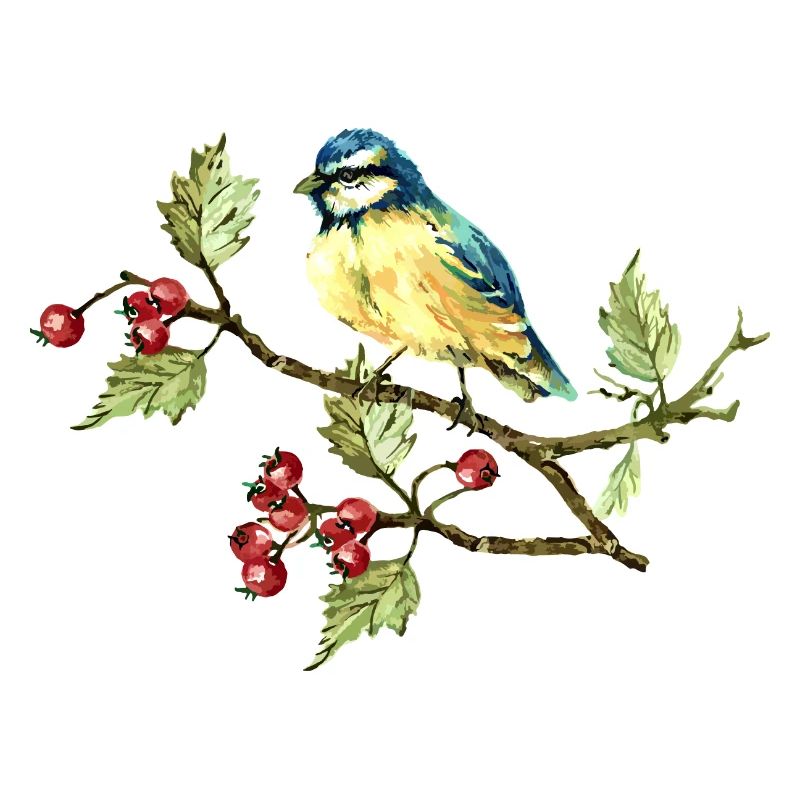 Bunter Vogel