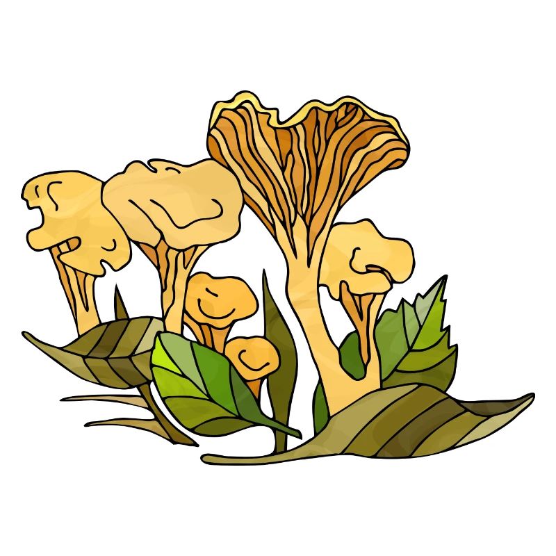 Pilze