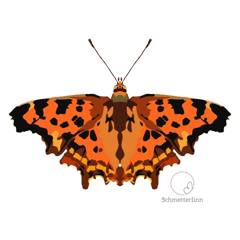 Schmetterlinn: C-Falter