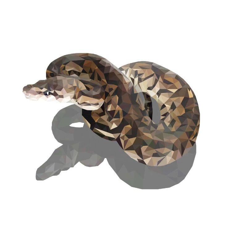 Poly snake