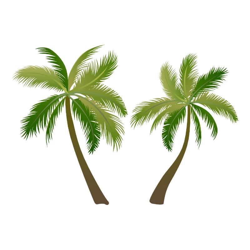 palm tree palm palms