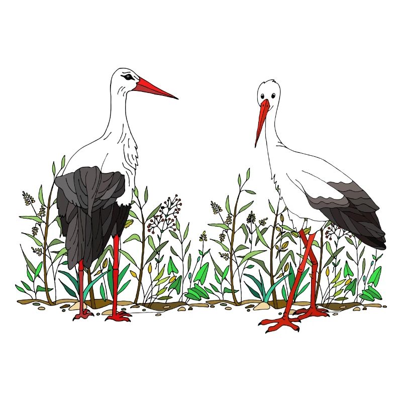 Storks