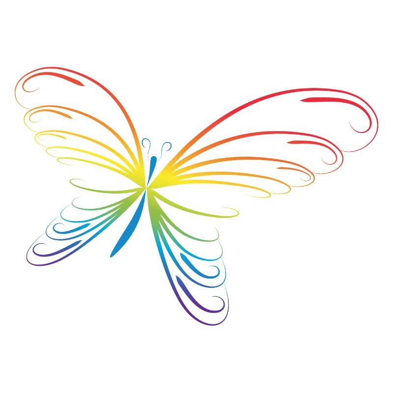 Rainbow butterfly