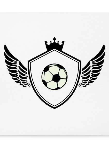 fussball wappen