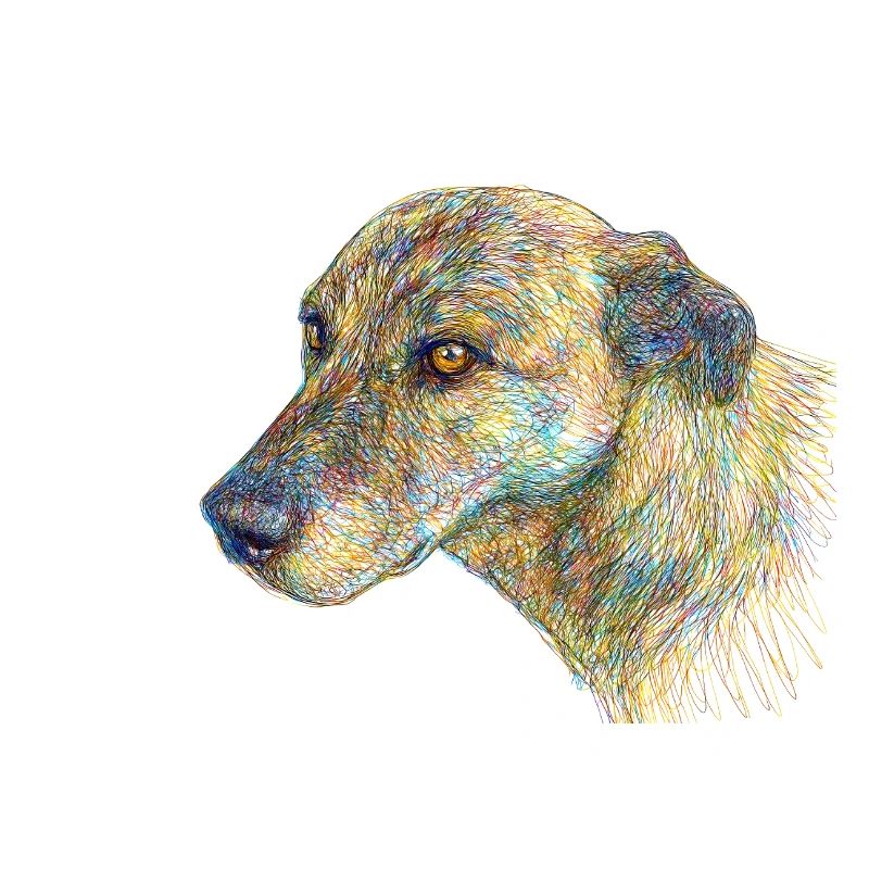 Abstrakter Hund