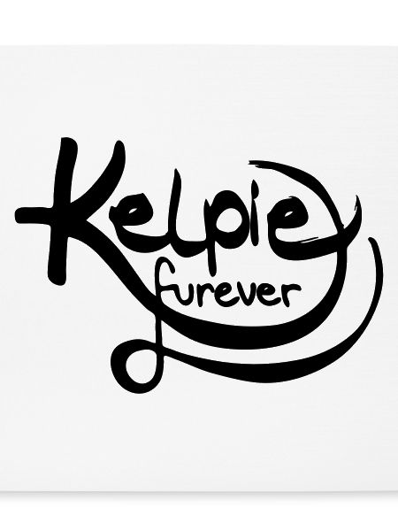 Kelpie furever