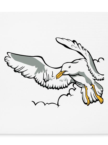 Seagull