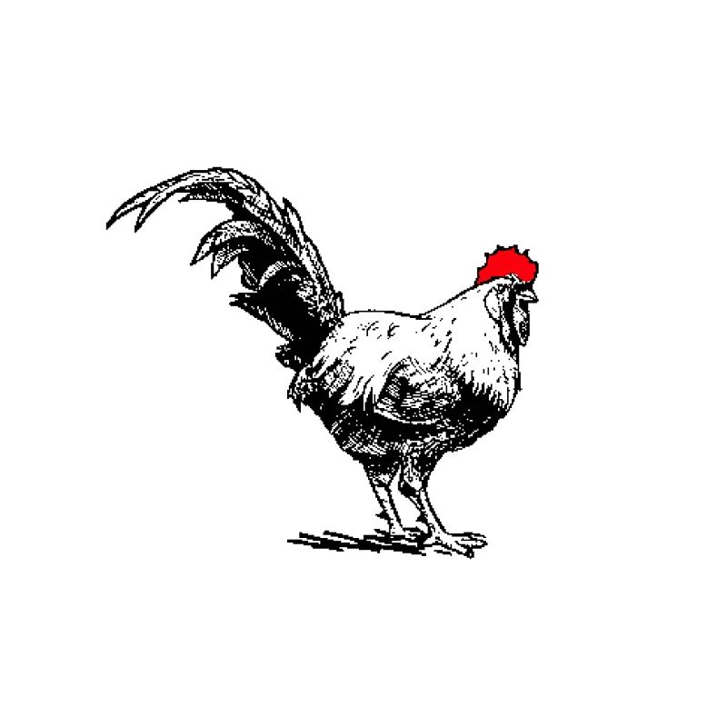 Huhn
