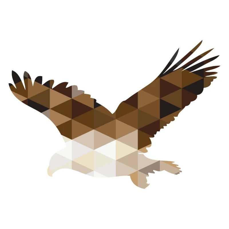 Geometric Eagle