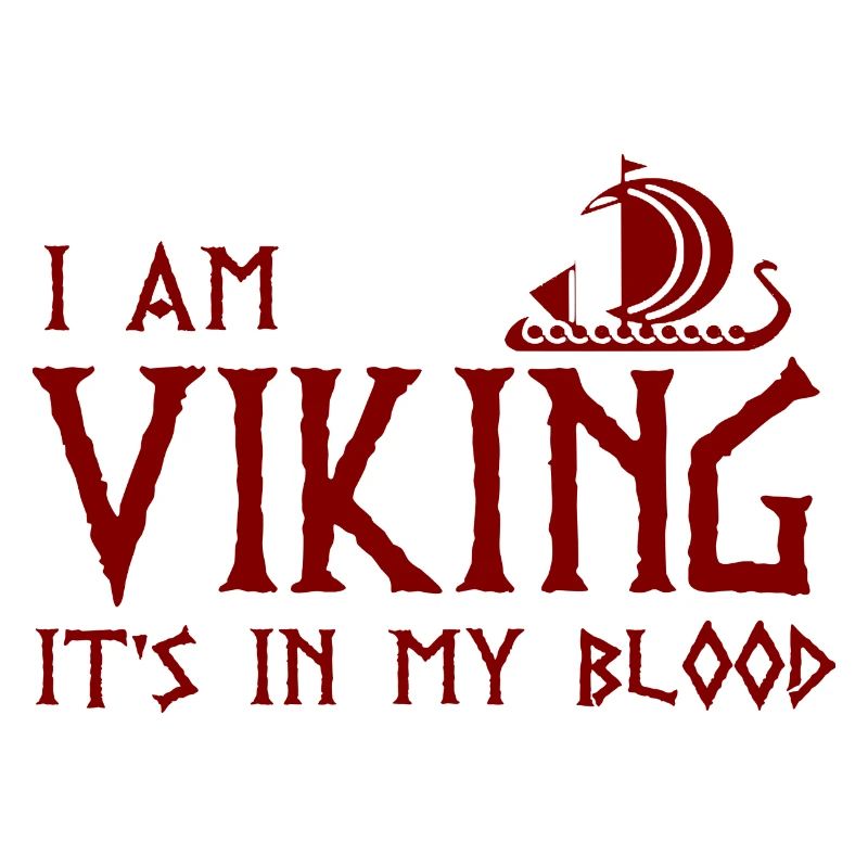 Ich bin Wikinger