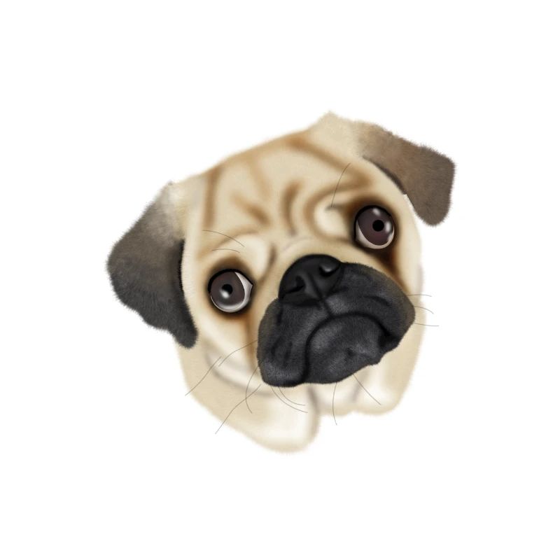 mops