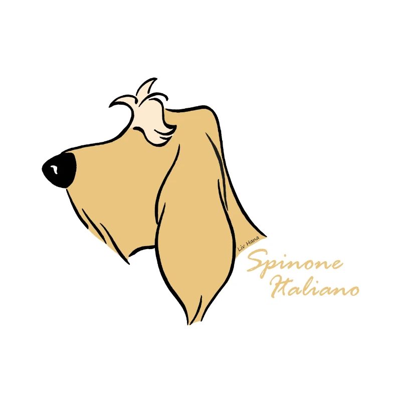Spinone Italiano blond