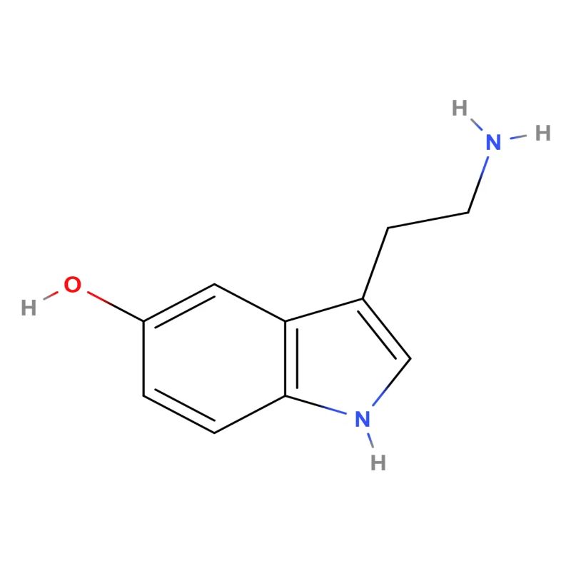 Serotonin Molecule - Colored Structural Formula