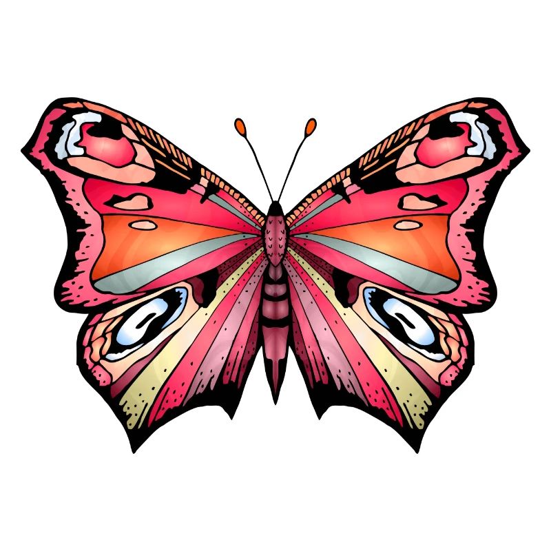 Bunter Schmetterling
