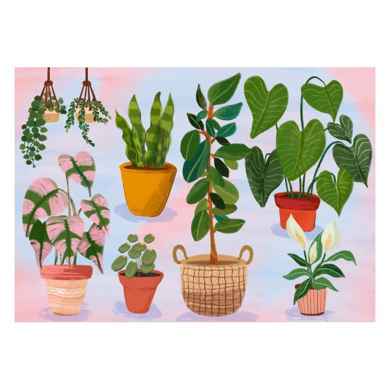 Plants