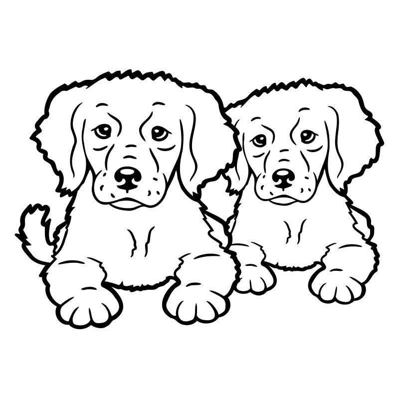 2 Hunde Team Zwei Freunde Crew Glücklich Brüder