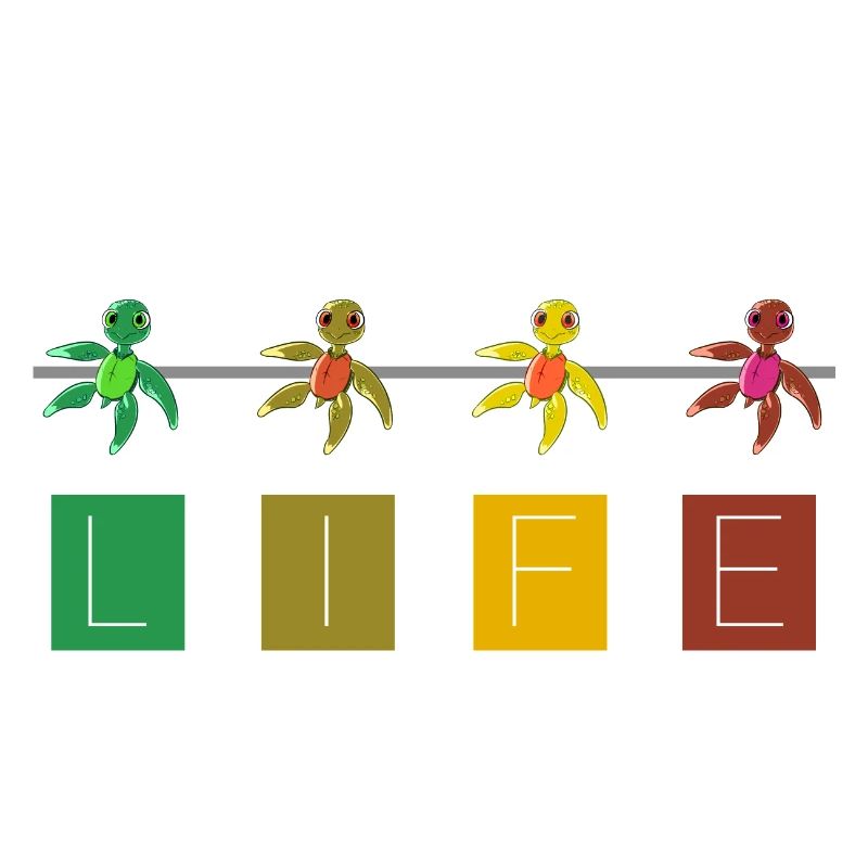 Turtle - Schildkröten, Life