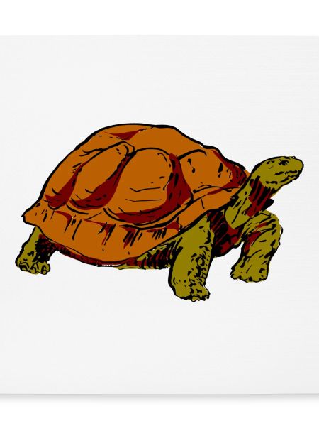 Schildkröte